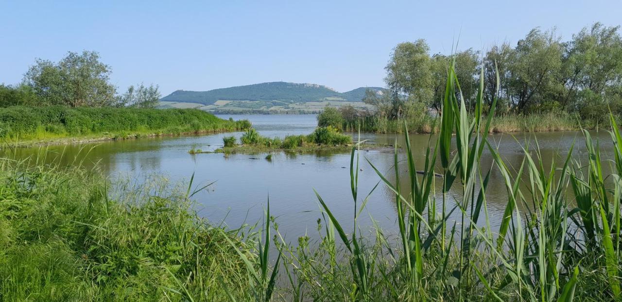 Ubytovani Na Sklepe U Prochazku Pouzdrany エクステリア 写真